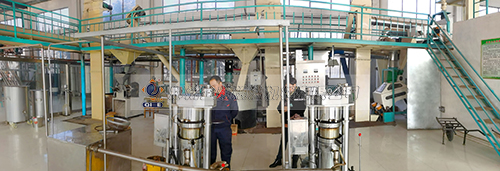 �������O(sh��)��